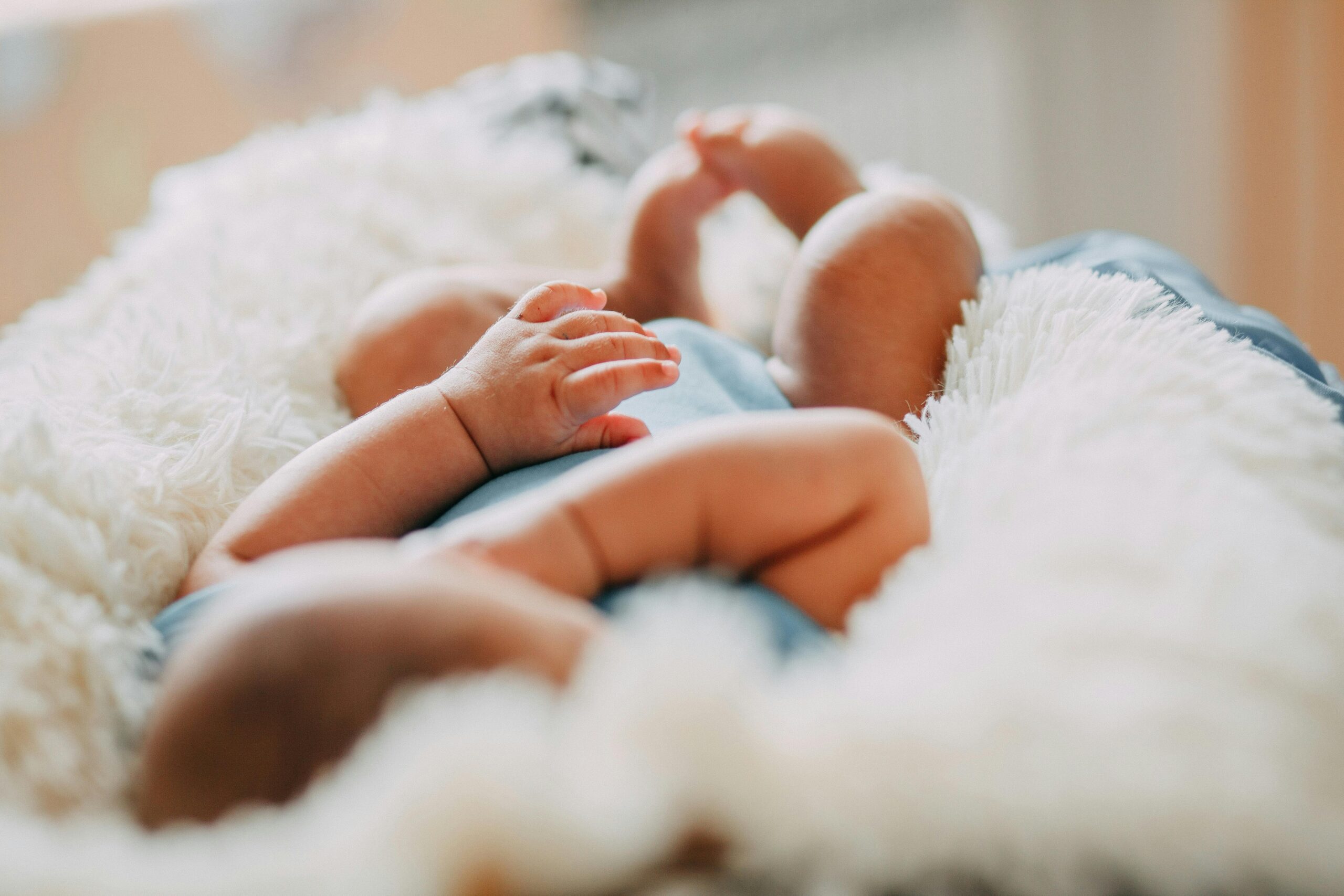 baby bjorn wipstoel aanbieding